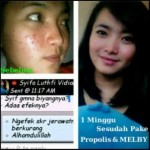 melia biyang untuk payudara